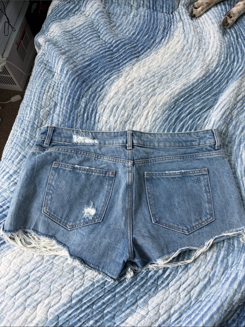 3 pairs of jean shorts -Pistola White sz29 - DL1961 sz 29- American Eagle sz 10 - Picture 15 of 16